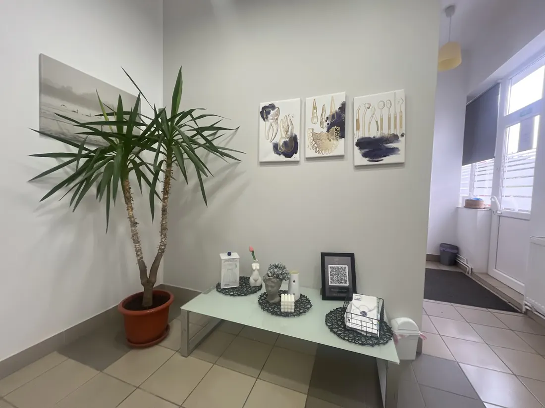 Sala de așteptare a cabinetului stomatologic din Iernut: o măsuță, un palmier și tablouri cu instrumente dentare
